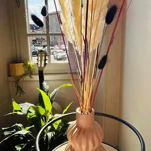Anastasia Apartamento